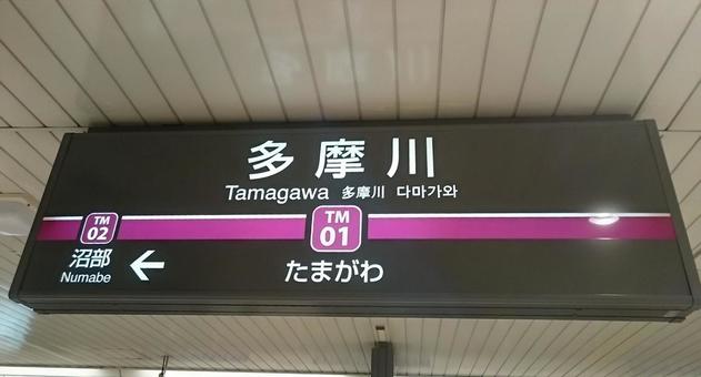 Tamagawa